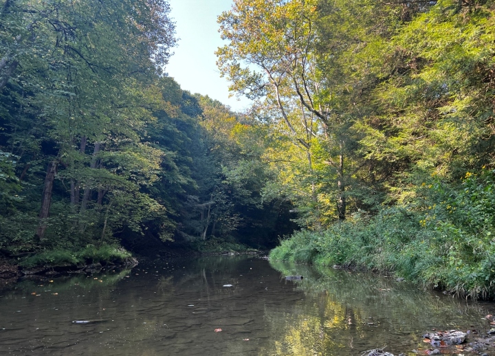 Herp Habitat